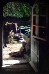 kerbeleg 1962 cheval furic cuisine