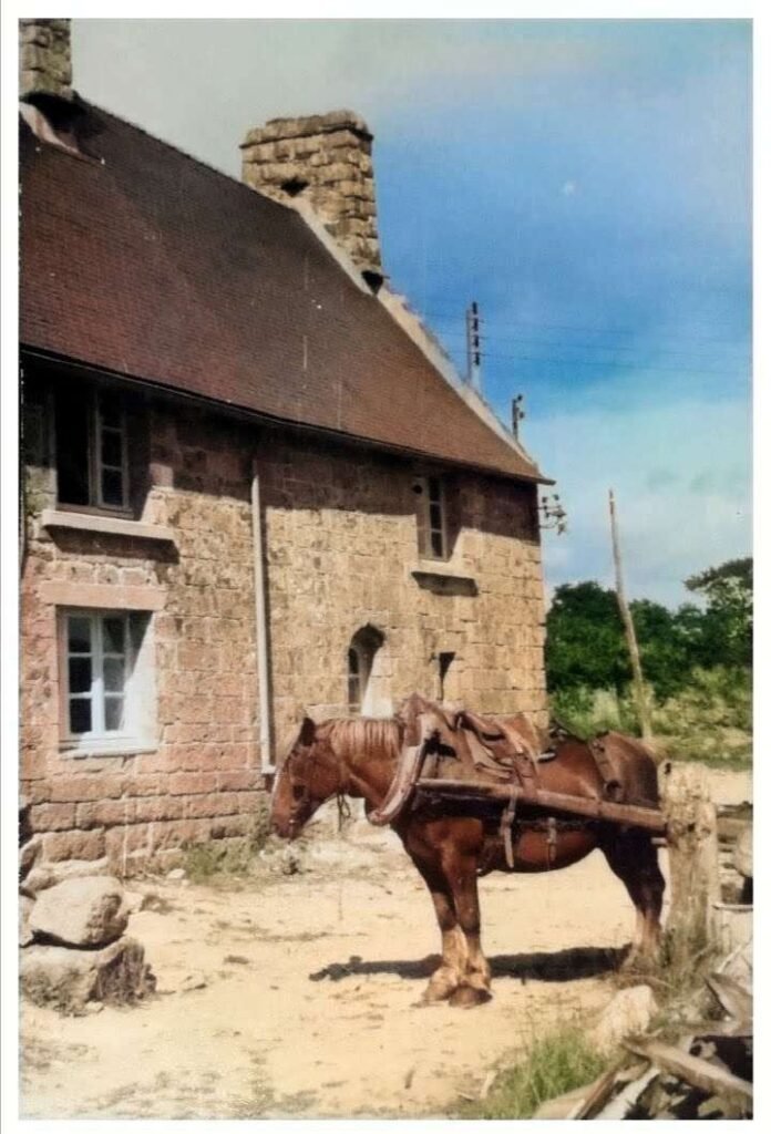 Patrimoine et Écologie - patrimoine et ecologie renamed - Kerbeleg