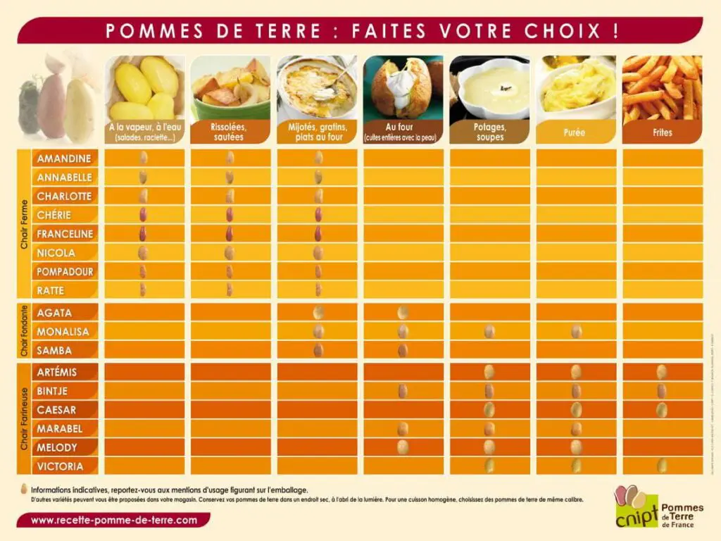 Kantoche Mer & Campagne 6 - Kerbeleg Kantoche Mer & Campagne - varietes pommes de terre - Kerbeleg