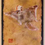 peinture fabien raveton 2022 ecureuil volant 75x100 stamp mfrh original scaled