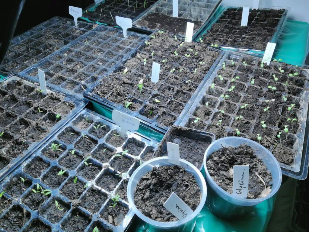 le jardin potager mandala 10 - Kerbeleg