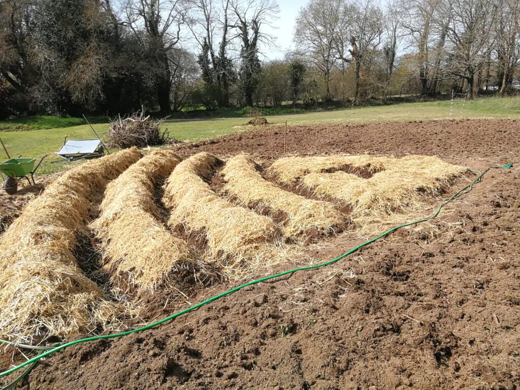 le jardin potager mandala 2 - Kerbeleg