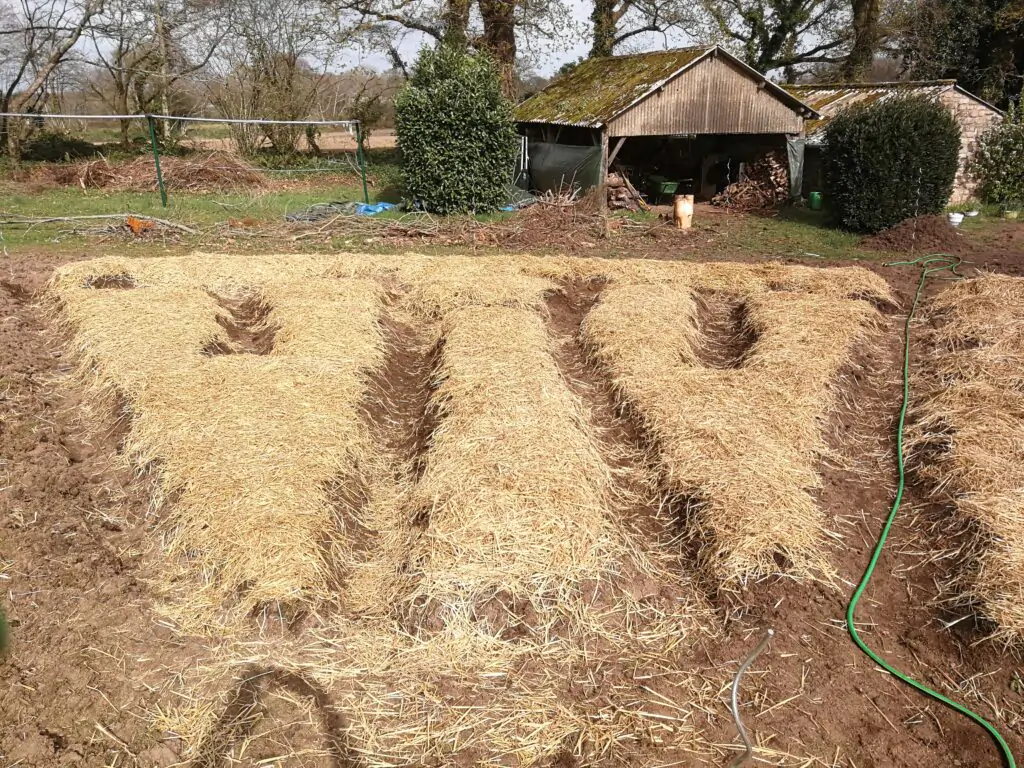 le jardin potager mandala 29 - Kerbeleg