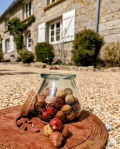 les mini muffins dines scaled