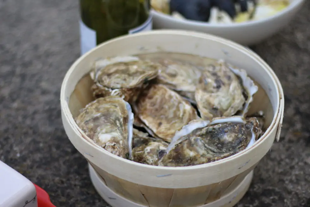 huitres du belon tourisme - Kerbeleg