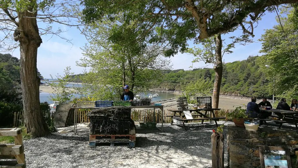 huitres du belon tourisme 2 - Kerbeleg