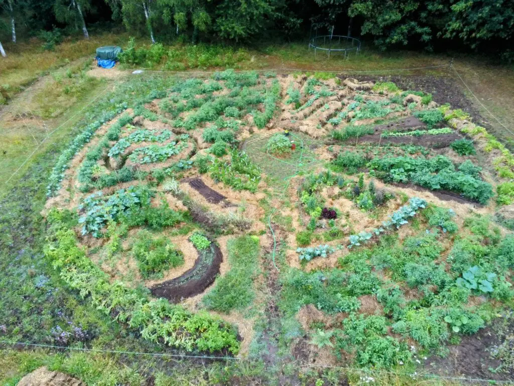 legumes potager mandala 6 scaled