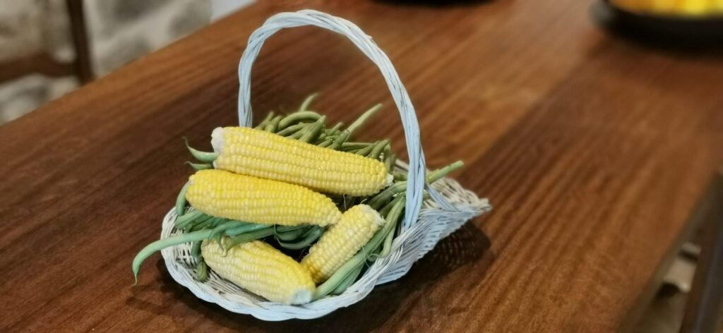 Maïs True Gold - Récolte - les paniers du jardin potager mandala kerbeleg