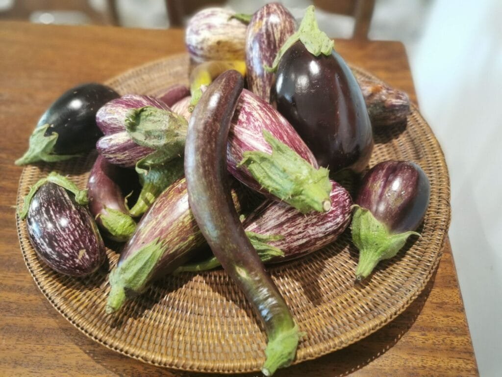 Les paniers du potager 78 - Kerbeleg Eggplants Aubergines