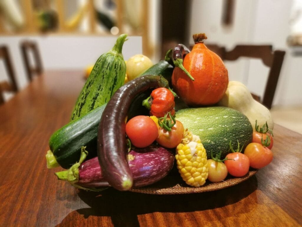Les paniers du potager 85 - Kerbeleg Récolte mandala Octobre assortiment légumes ()