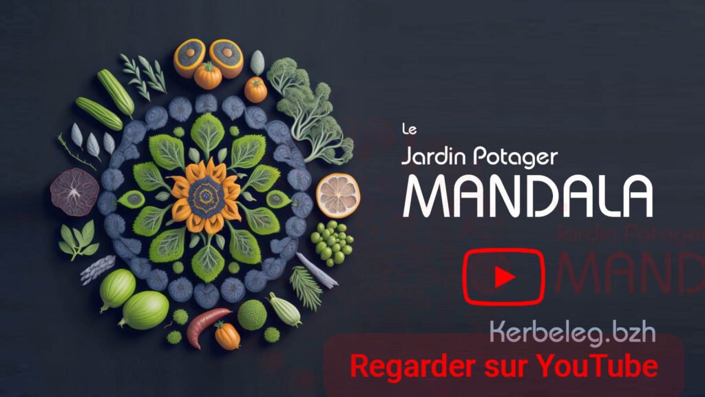 Mandala Youtube Cover