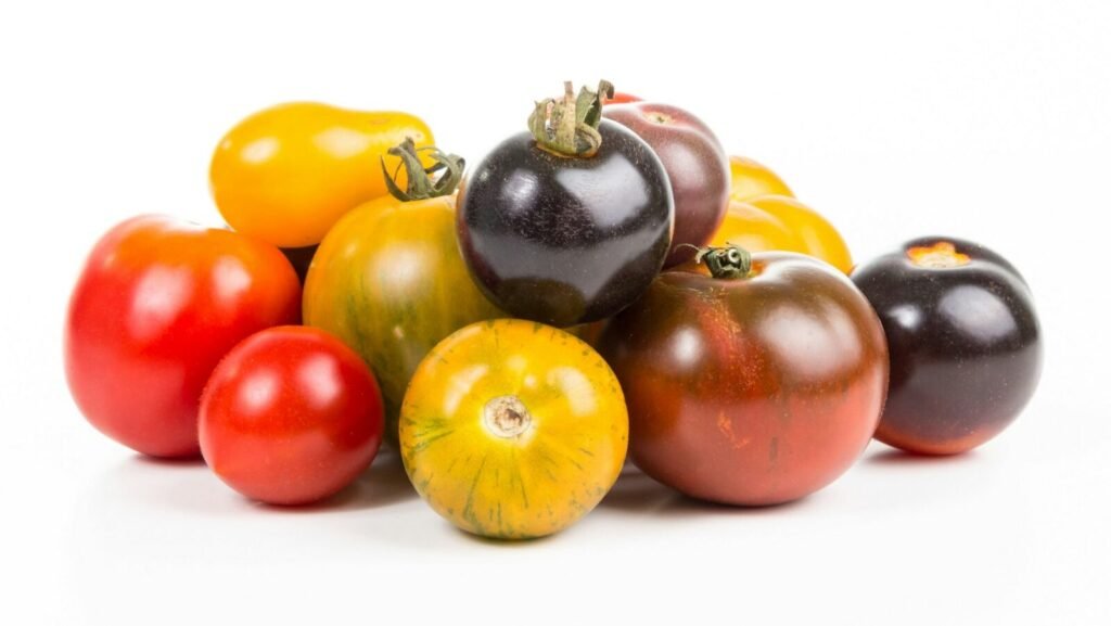 tomates mélangées potager jardin