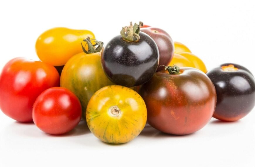 Reproducible seeds 5 - Kerbeleg tomates mélangées potager jardin