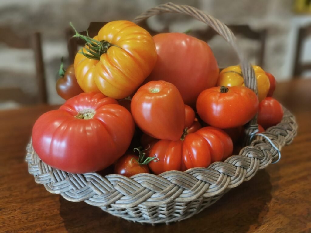 Tomates "Mix Soleil & Gourmandise" 1 - Kerbeleg Tomates Mix Soleil & Gourmandise