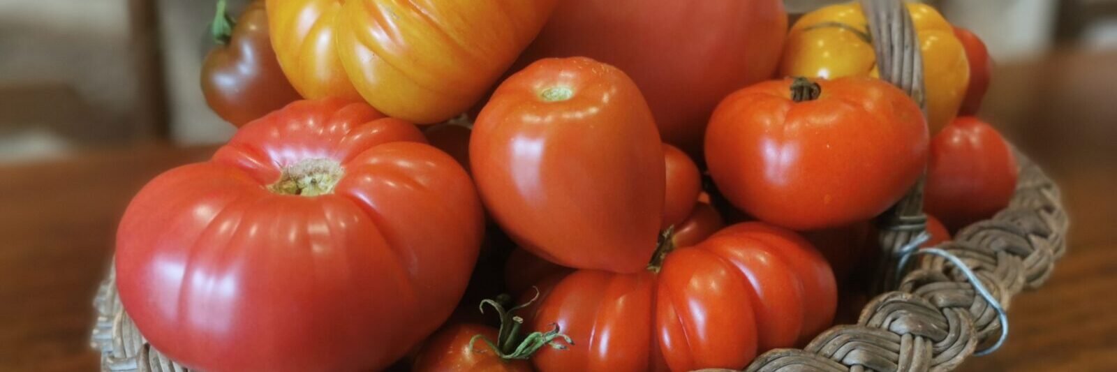 Tomates Mix Soleil & Gourmandise