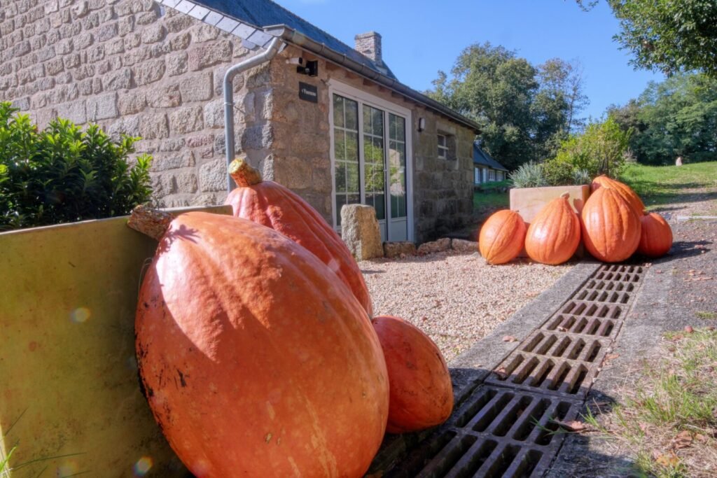 Citrouilles