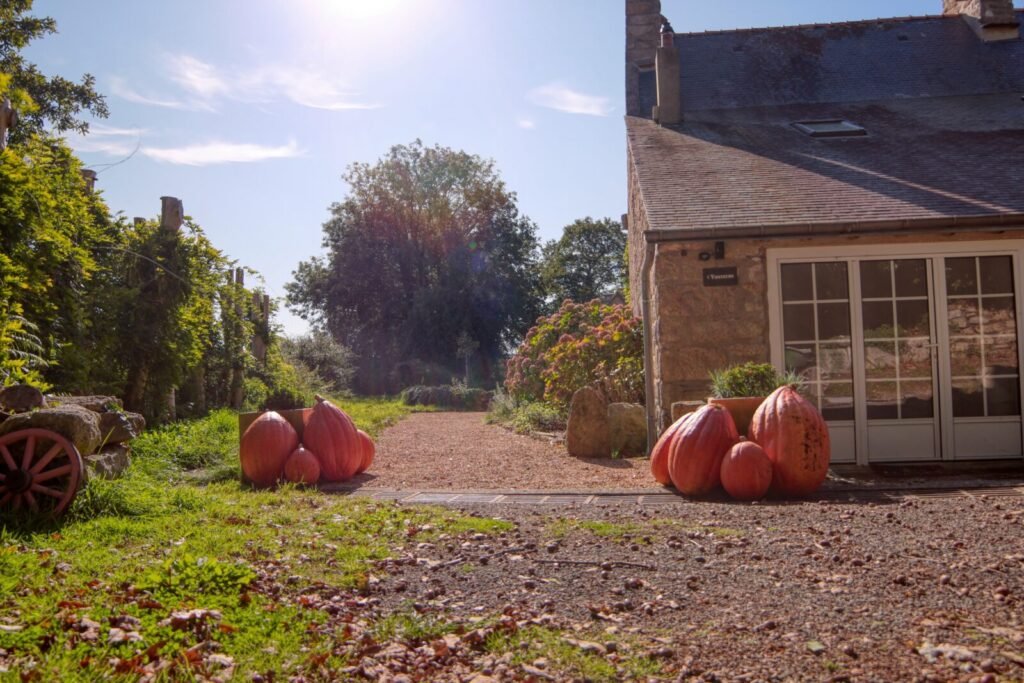Citrouilles