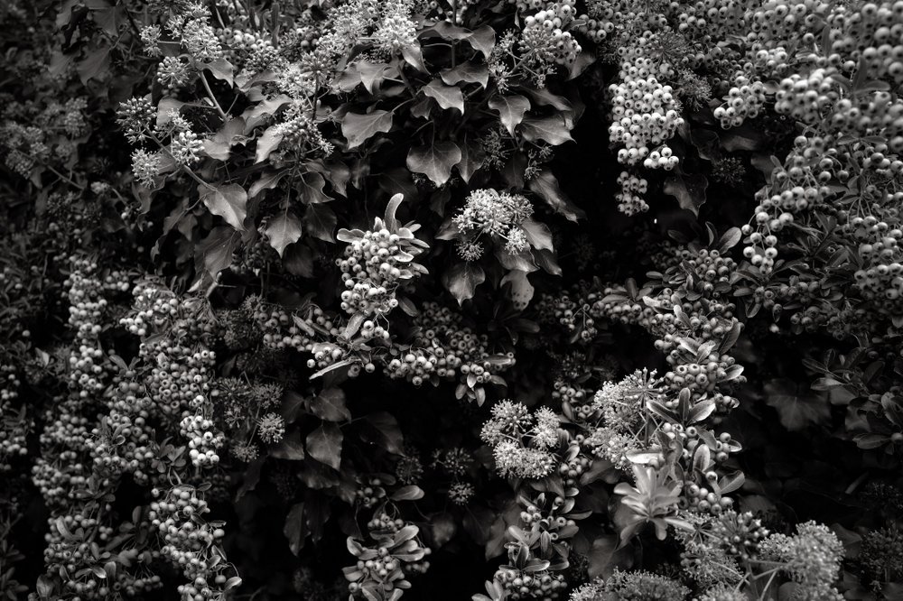 Photos Are Bullets: Die stille Poesie von Bastiaan Niemans 27 - Kerbeleg PhotosAreBullets.org Bastiaan Niemans ()