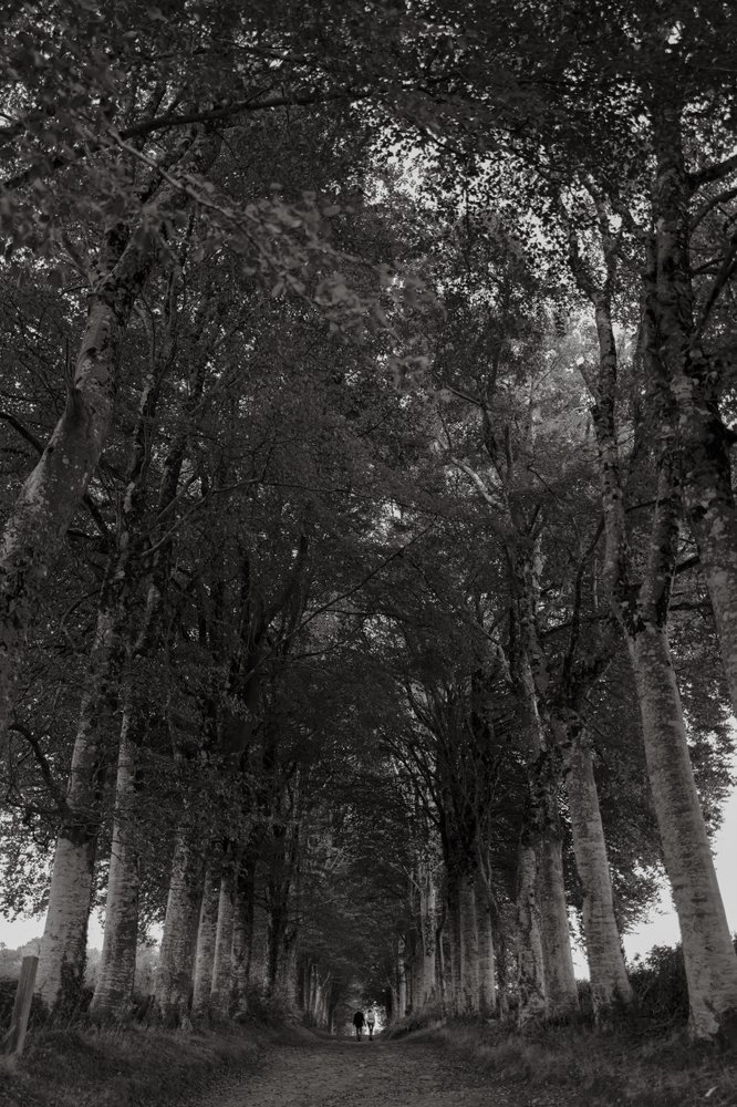 Photos Are Bullets: Die stille Poesie von Bastiaan Niemans 29 - Kerbeleg PhotosAreBullets.org Bastiaan Niemans ()