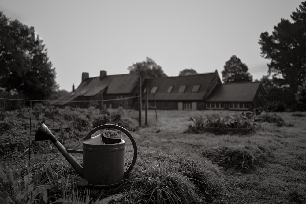 Photos Are Bullets: Die stille Poesie von Bastiaan Niemans 5 - Kerbeleg PhotosAreBullets.org Bastiaan Niemans ()