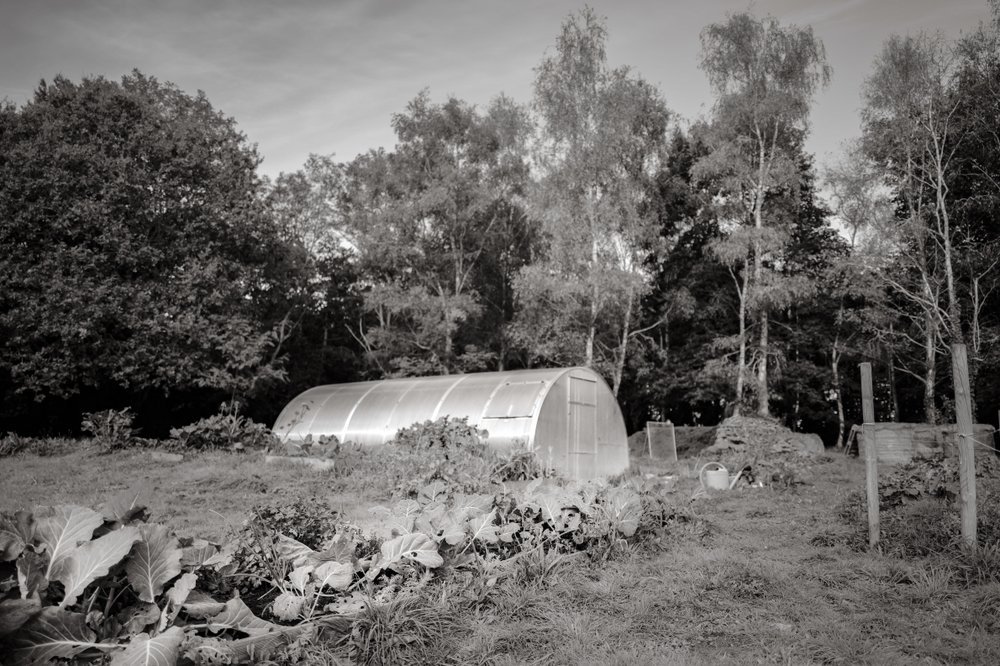 Photos Are Bullets: Die stille Poesie von Bastiaan Niemans 6 - Kerbeleg PhotosAreBullets.org Bastiaan Niemans ()