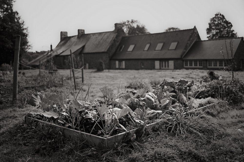 Photos Are Bullets: Die stille Poesie von Bastiaan Niemans 7 - Kerbeleg PhotosAreBullets.org Bastiaan Niemans ()
