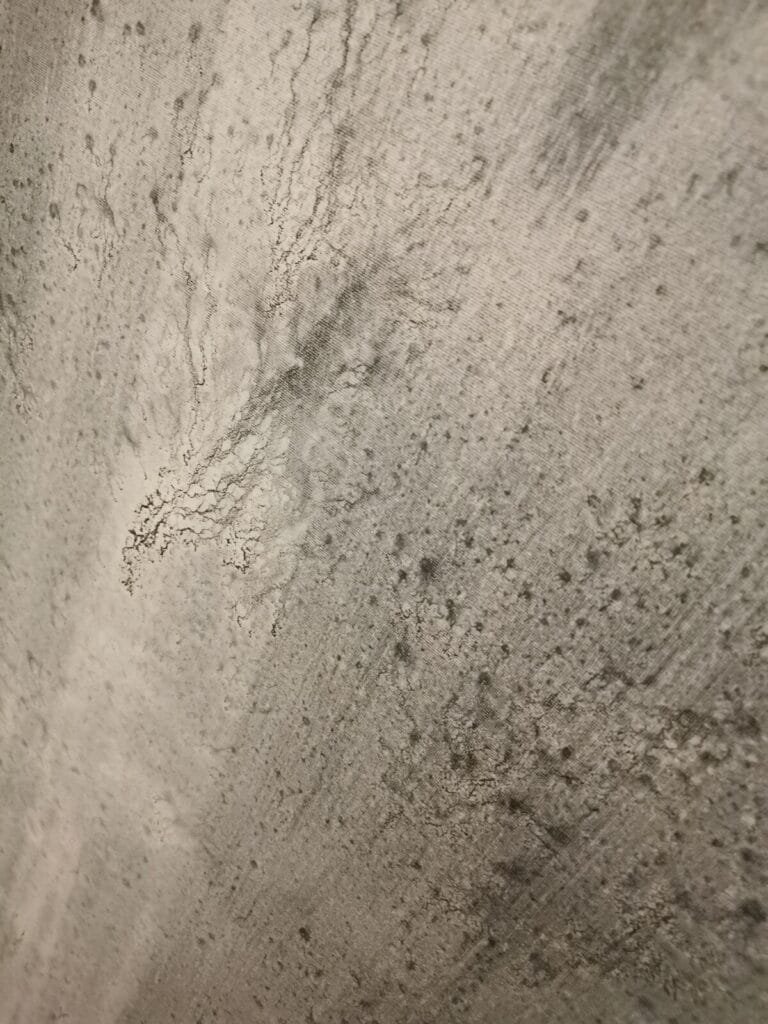 Le vieil homme et la terre #2 : "Le fou rire" 7 - Kerbeleg Le vieil homme et la terre # Le fou rire ()