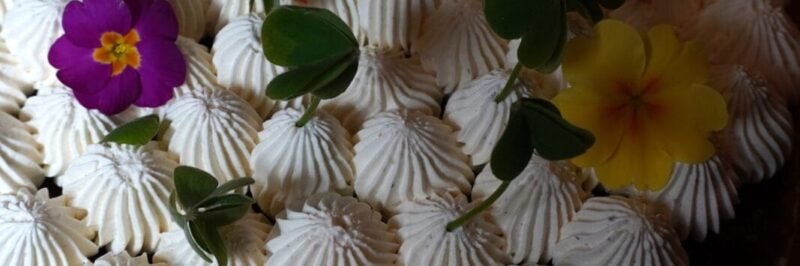 Amandine et Aurélien La Végétalerie Quimperlé ()