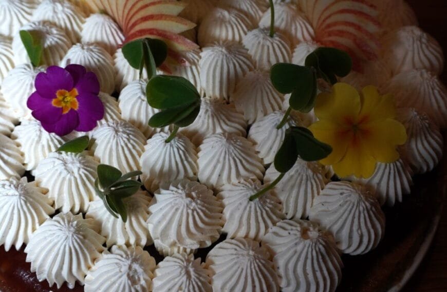 Amandine et Aurélien La Végétalerie Quimperlé ()