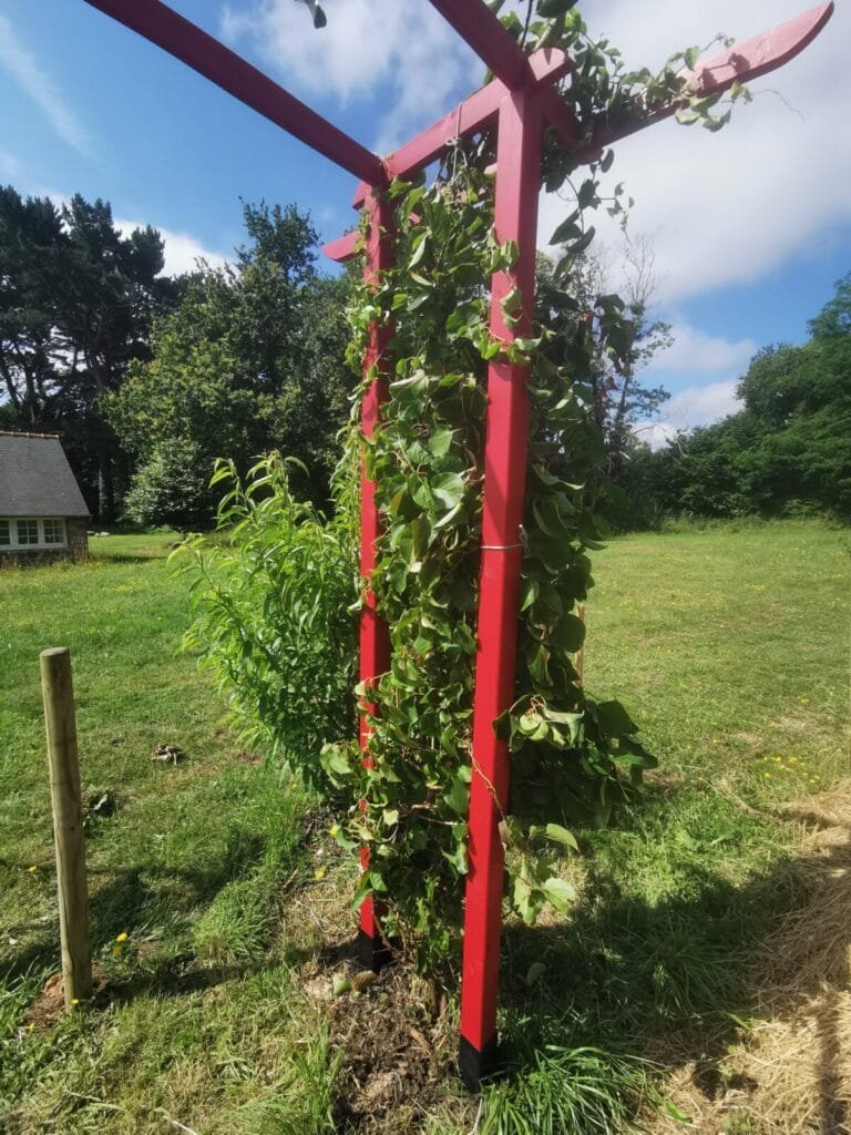 Le Torii de Kerbeleg Passerelle Sacrée entre Ciel Terre et Permaculture