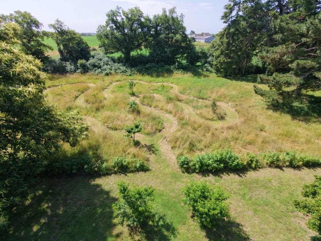 Die Kunst der Pflege: Durchdachtes Mähen im Herzen unseres Obstgartens 1 - Kerbeleg la tonte raisonnée au cœur de notre verger ()