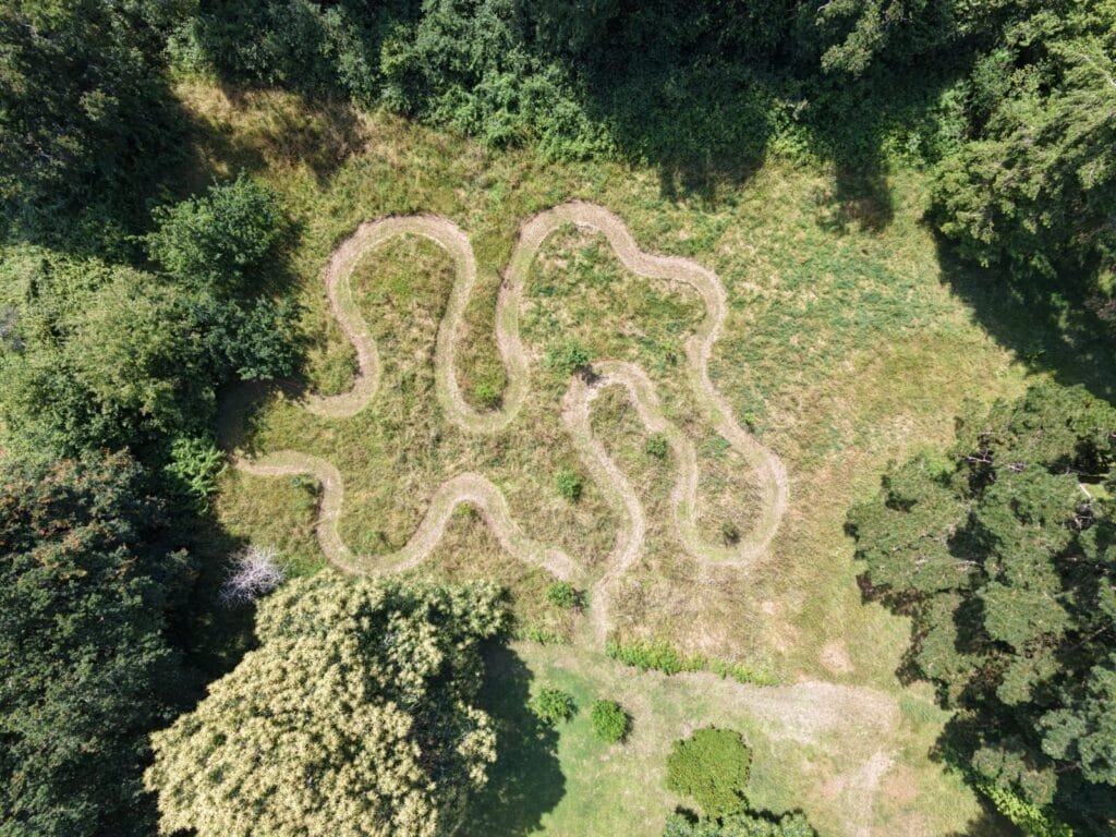 Die Kunst der Pflege: Durchdachtes Mähen im Herzen unseres Obstgartens 2 - Kerbeleg la tonte raisonnée au cœur de notre verger ()