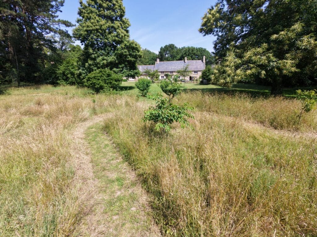 Die Kunst der Pflege: Durchdachtes Mähen im Herzen unseres Obstgartens 2 - Kerbeleg la tonte raisonnée au cœur de notre verger ()